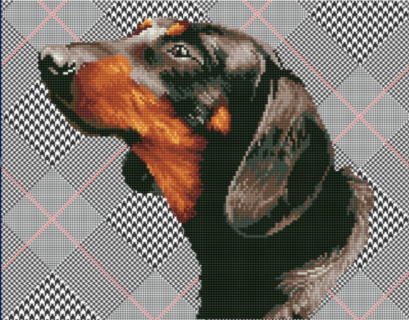 Noble Dachsie