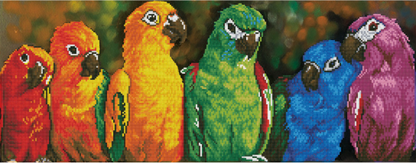 Rainbow Parrots