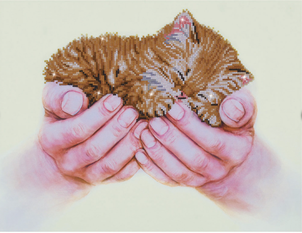 Precious Kitten