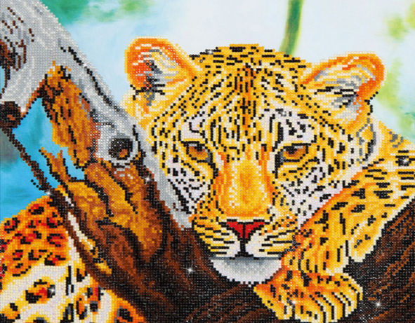 Leopard Look