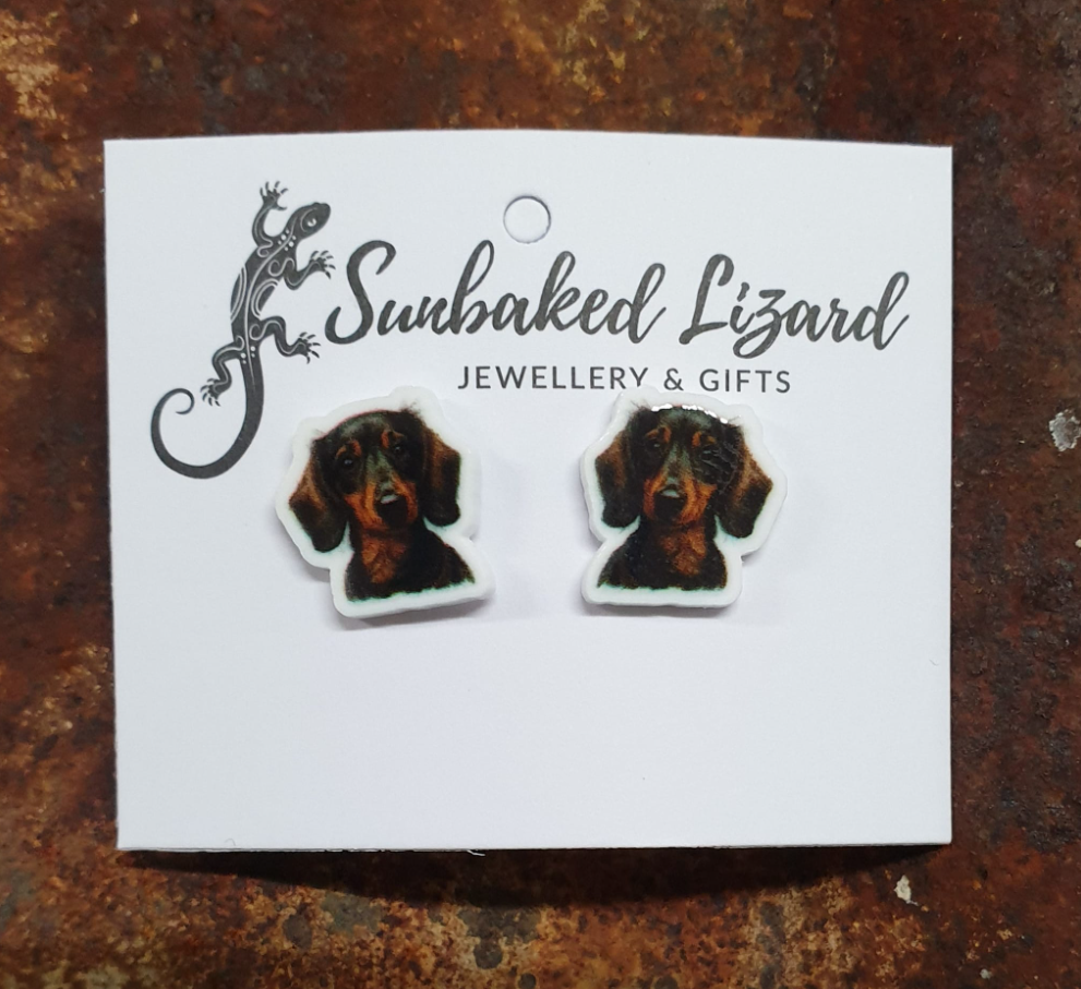 Black Dachshund Studs