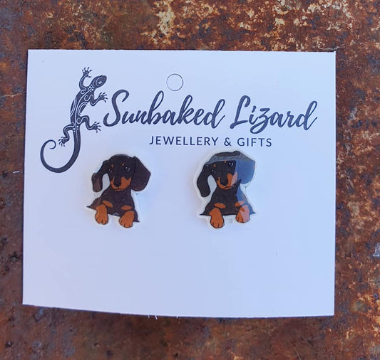 Black Dachshund Studs